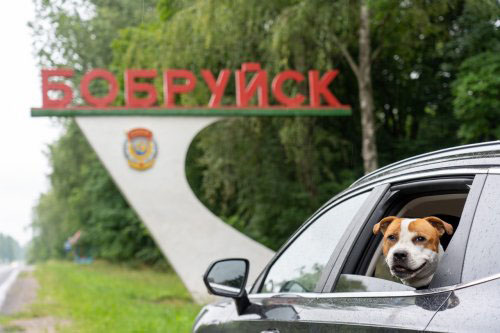 Бобруйск (Беларусь)